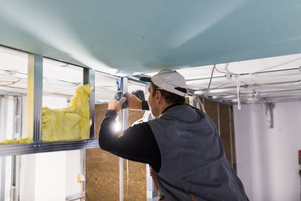Best Insulation Installation Services in Anchor Point, AK